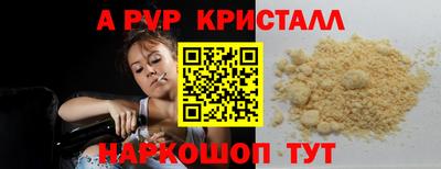 спайс Кингисепп