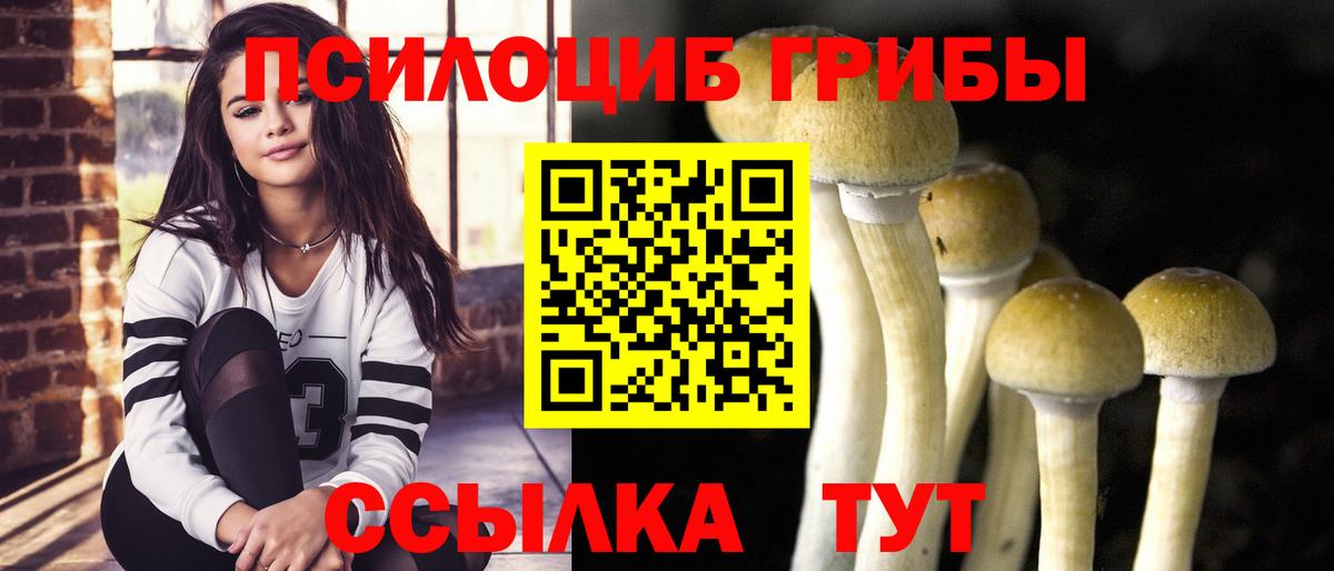Псилоцибиновые грибы прущие грибы  Вход с VPN  Усть-Илимск  Галлюциногенные грибы Cubensis 